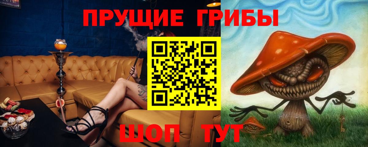 Сургут  Псилоцибиновые грибы Cubensis  Вход с VPN 